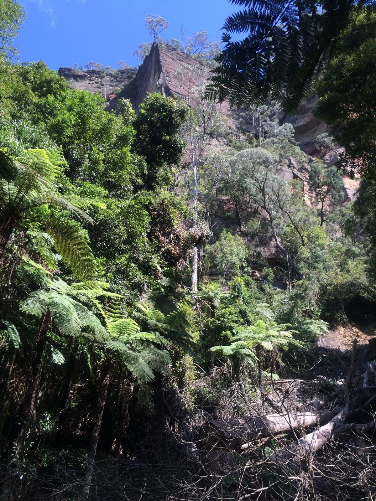 レールウェイから降りた後は、炭鉱跡地であった歴史を
学びながらお散歩👟
大...