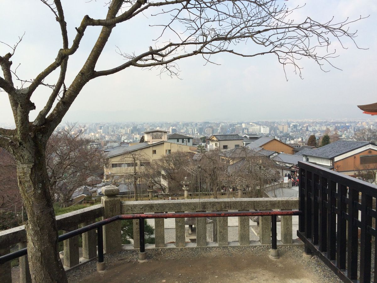 中学生の修学旅行ぶりに京都へ！！
母親が仏像好きで、この頃からよく2人で出...