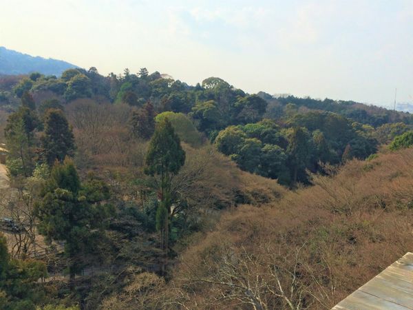 日本・京都府「日本・京都 その①/Kyoto Japan part①」の写真：中学生の修学旅行ぶりに京都へ！！
母親が...
