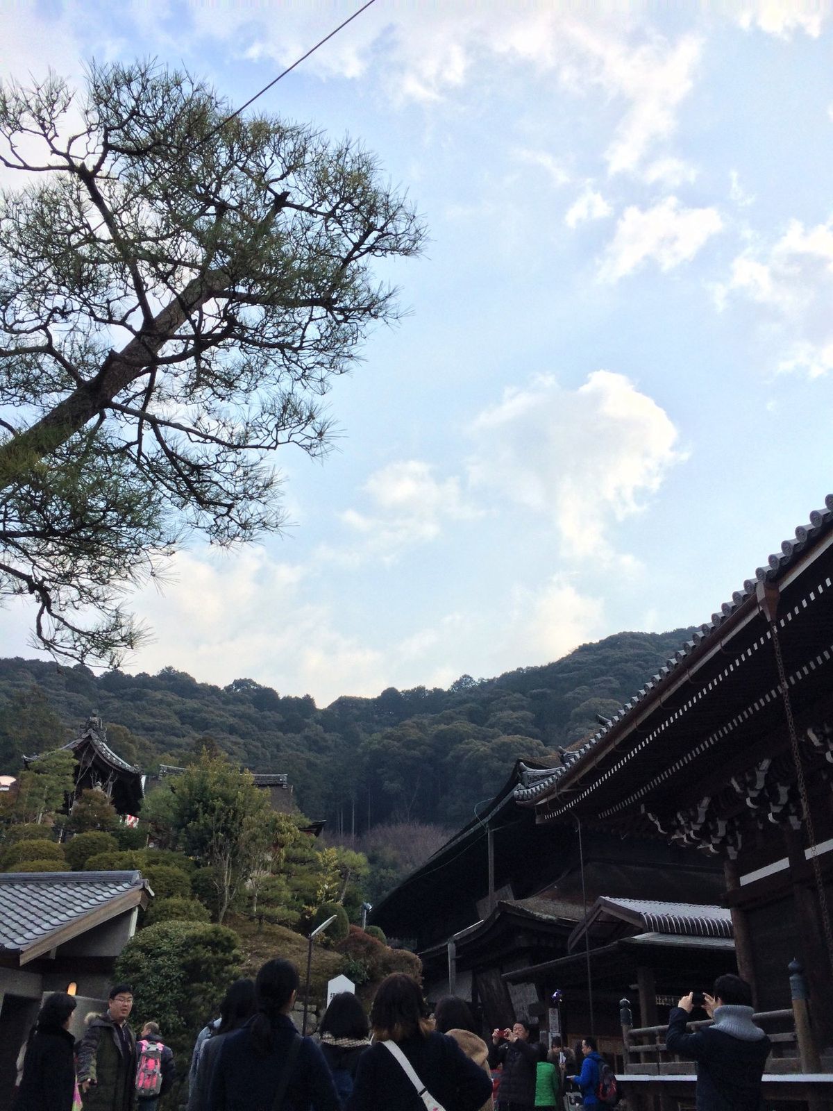 中学生の修学旅行ぶりに京都へ！！
母親が仏像好きで、この頃からよく2人で出...