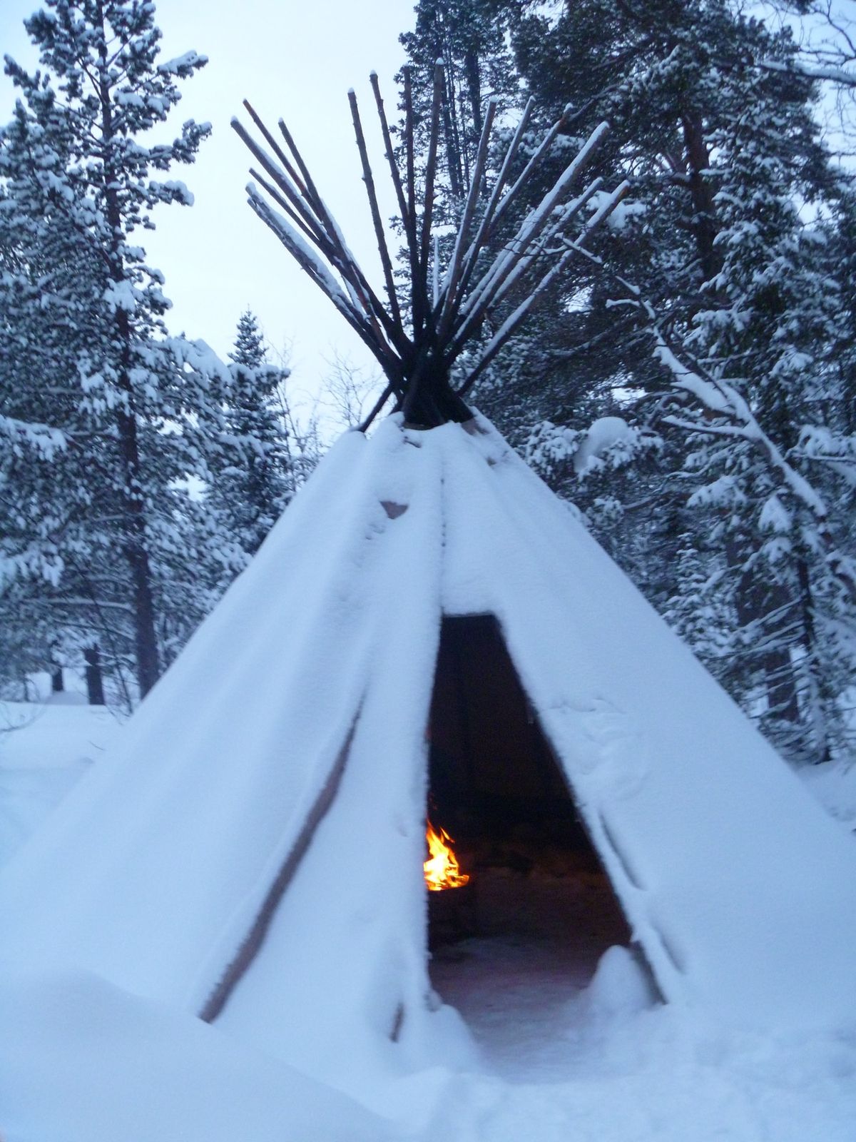 アクティビティは、犬ぞりをチョイス！
リーダー犬はイルマちゃんって名前でし...