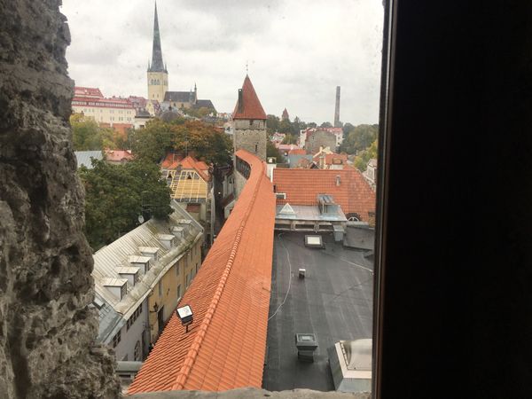 エストニア・タリン「東欧エストニアへ」の写真：タリンの城壁に登りました！
ちょうどセー...