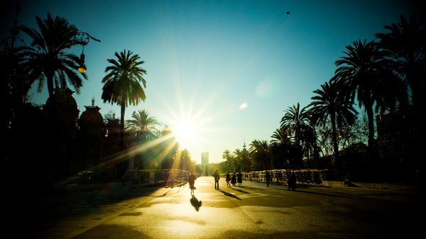 スペイン・バルセロナ･マドリード「スペイン バルセロナ･マドリード🇪🇸」の写真：1日目 サグラダファミリアへ