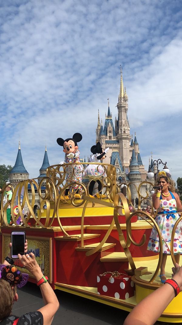 アメリカ(米国)「フロリダの旅」の写真