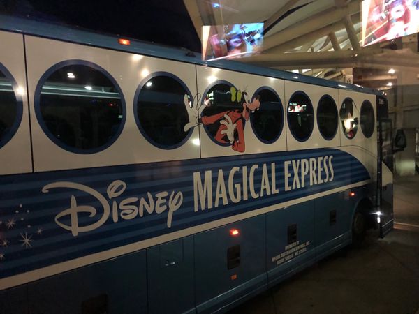 アメリカ(米国)「フロリダの旅」の写真