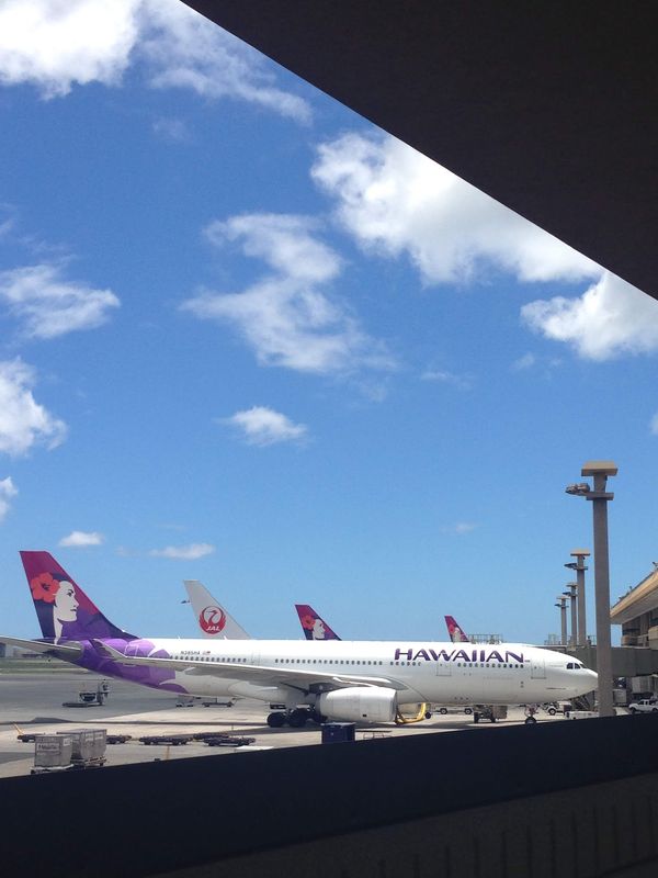 「親子ハワイ旅」の写真