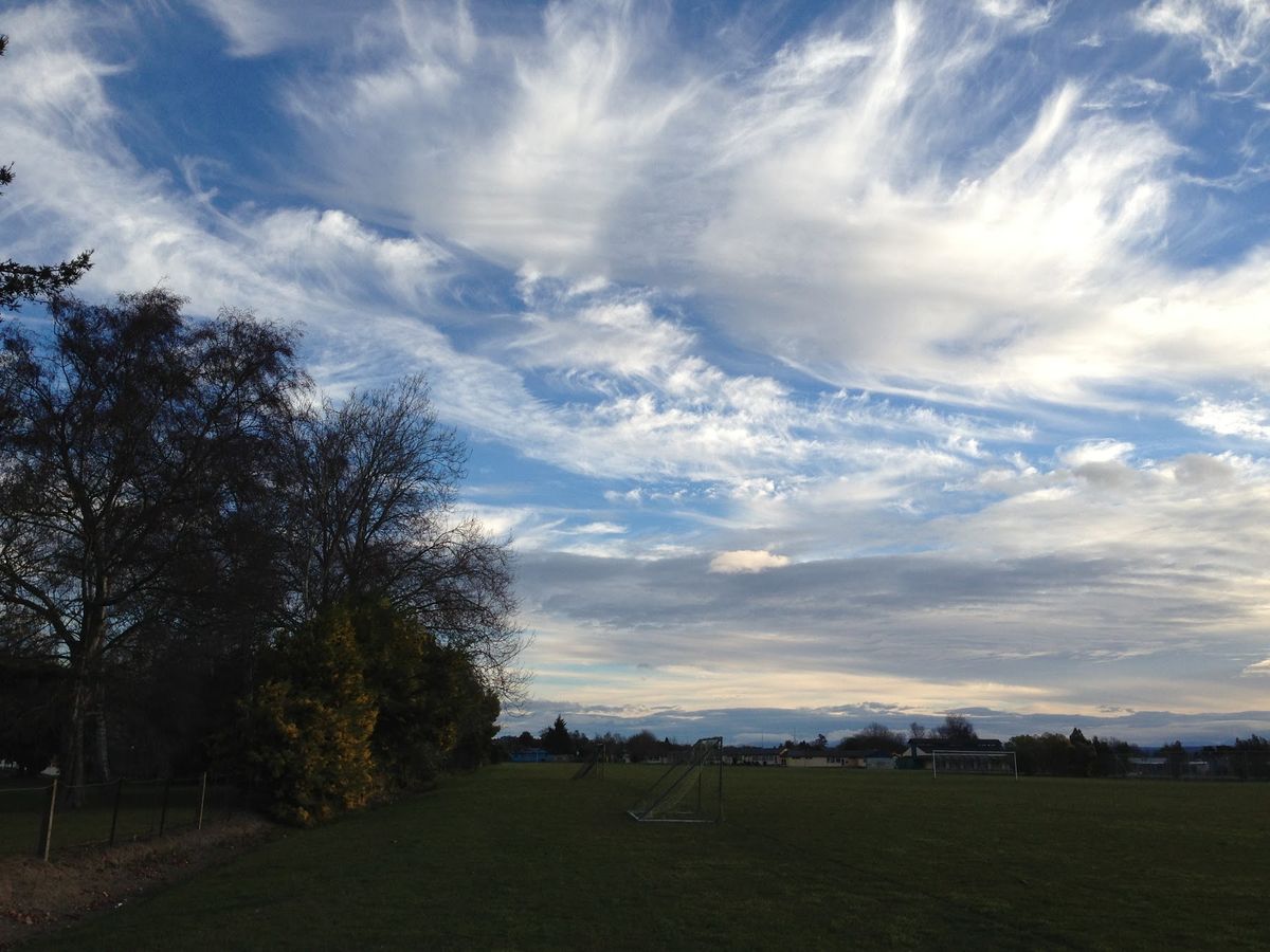 ニュージーランド･ネルソンでの日常の風景
