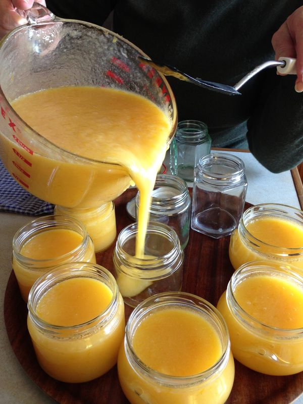 ニュージーランド「New Zealand」の写真：ホストファミリーとの思い出