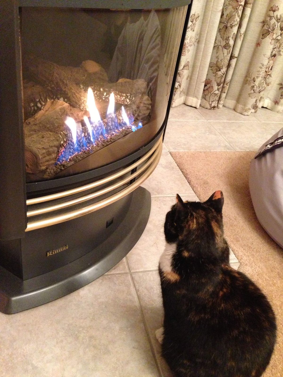 ホストファミリーとの思い出