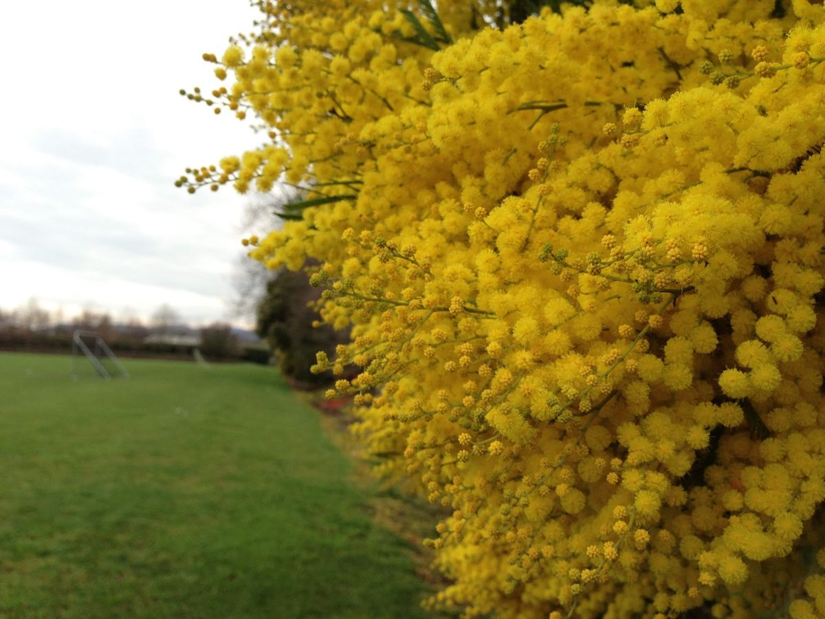 ニュージーランド･ネルソンでの日常の風景