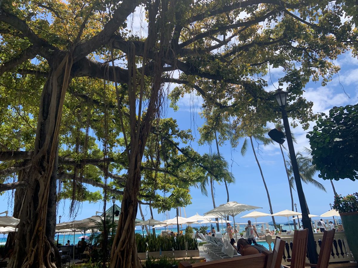 🏨2〜5泊目　モアナサーフライダー.
ここに泊まるのも夢だった♡また泊まり...