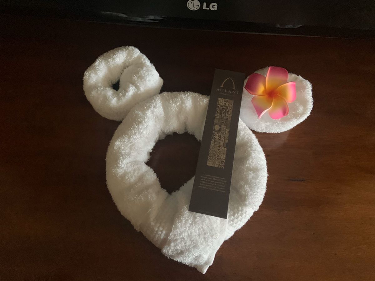 🏨アウラニ ♡.
また絶対に泊まりたいホテルの1つ☺︎