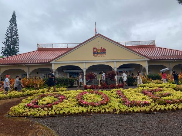 アメリカ(米国)・ハワイ「✈︎2019ハワイ結婚式・ハネムーン🇺🇸」の写真：🍍ドールプランテーション.
雨降ってたか...