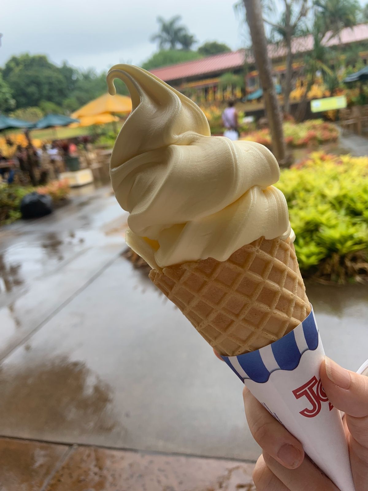 🍍ドールプランテーション.
雨降ってたから、スイーツとおみやげだけ。
アイ...