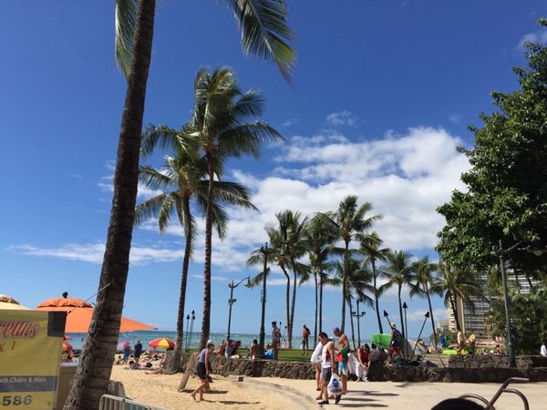 アメリカ(米国)・ハワイ「✈︎2015ハワイ旅行🇺🇸」の写真：📸風景
はじめてのハワイはどこを撮っても...