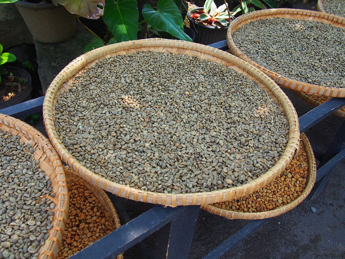 ジョグジャカルタの街は歴史のある街だけあって見所もたくさん、散歩しがいもあ...