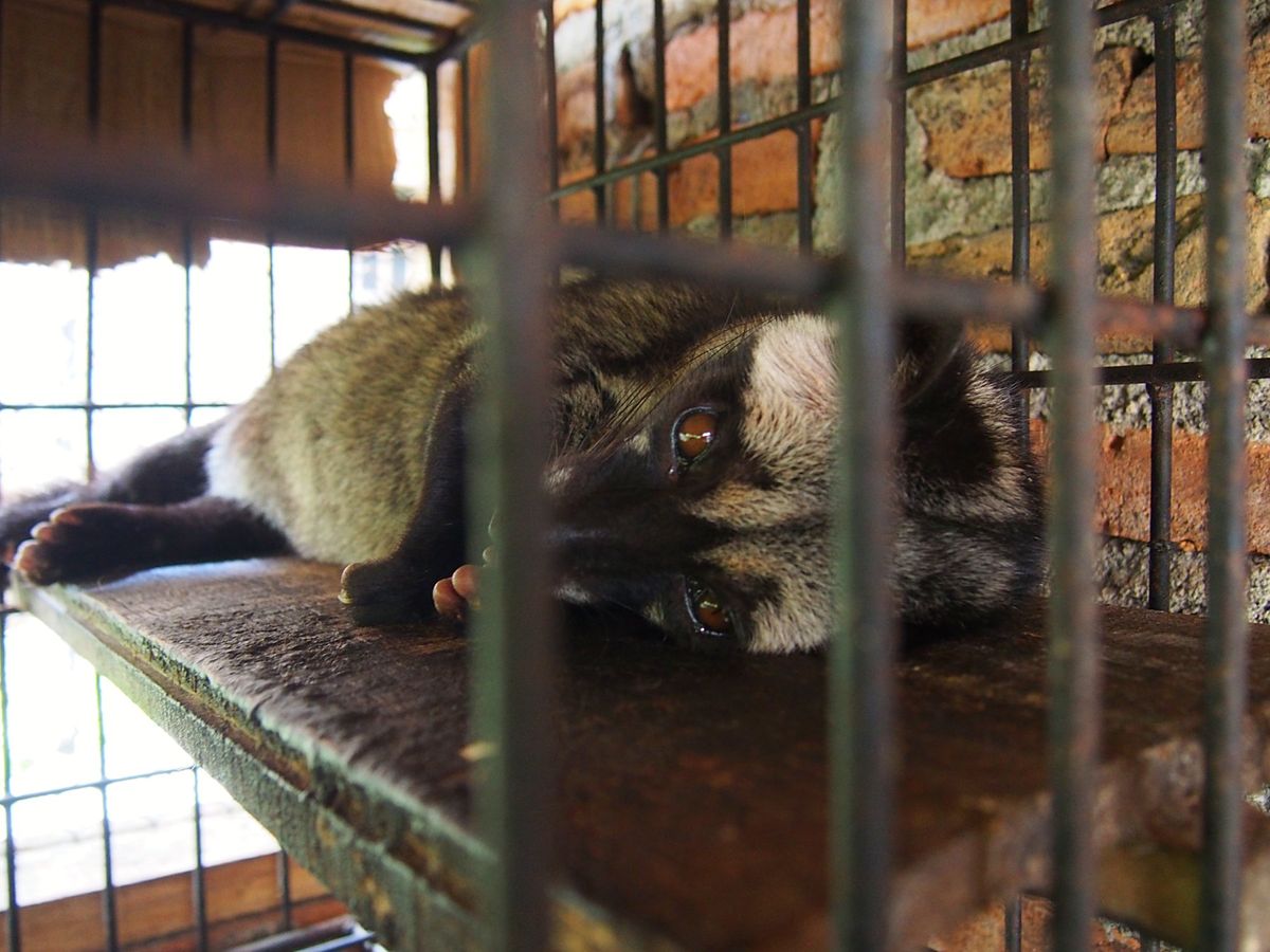 ジョグジャカルタの街は歴史のある街だけあって見所もたくさん、散歩しがいもあ...