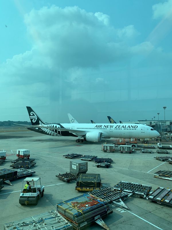 シンガポール・チャンギ空港「シンガポール・トランジット」の写真