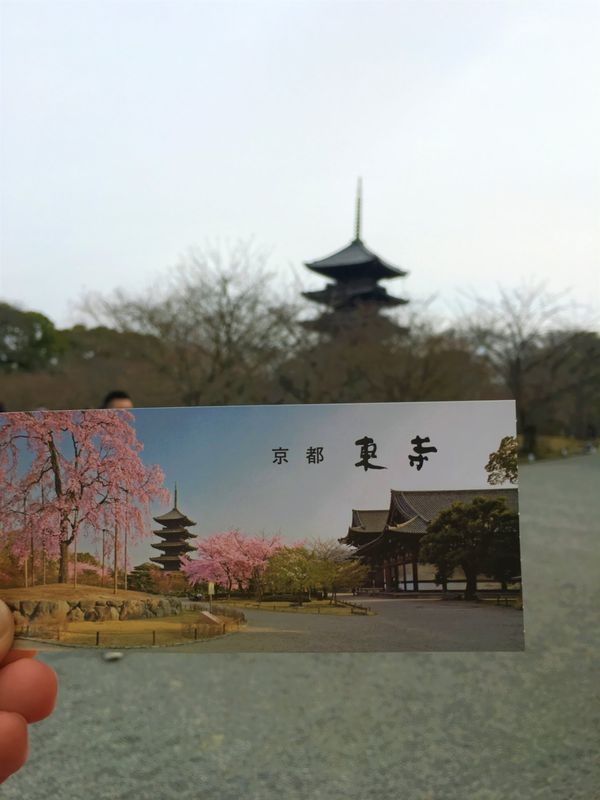 日本・京都府「日本・京都 その③/Kyoto Japan part③」の写真：実は京都で1番好きな場所、それはここ東寺...