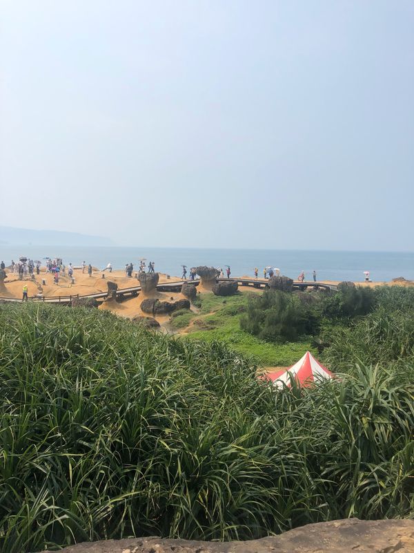 台湾・台北「Tiger  AIR」の写真