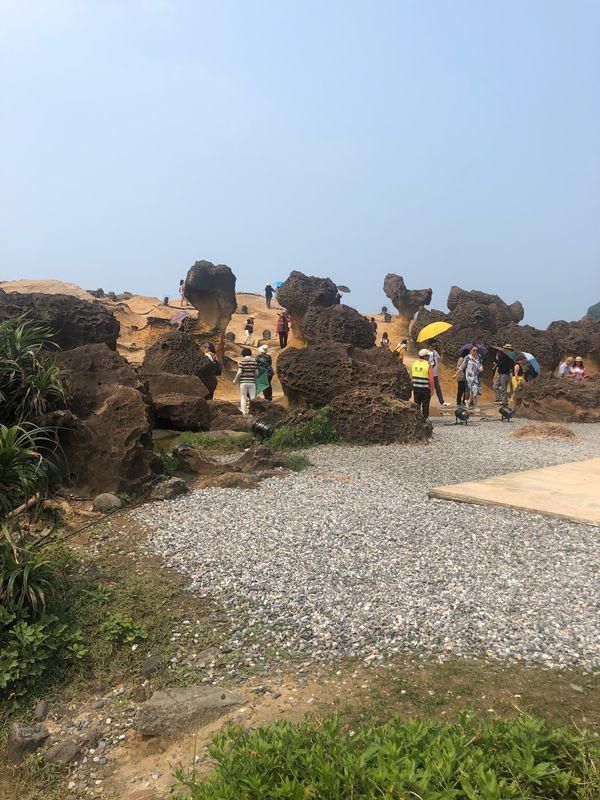 台湾・台北「Tiger  AIR」の写真