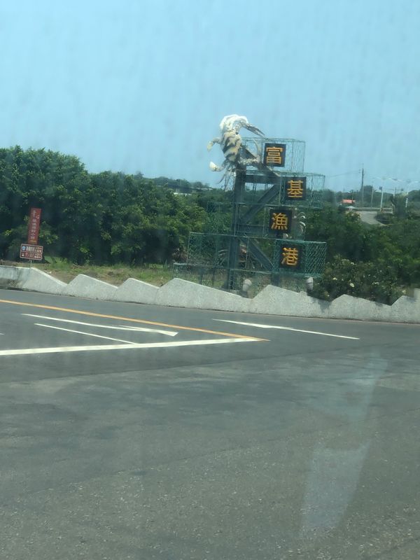 台湾・台北「Tiger  AIR」の写真