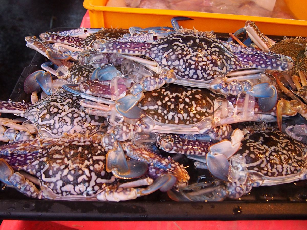 コタキナバルは海鮮が最高。
シャコなんかは本当に絶品です。
華僑が経営して...