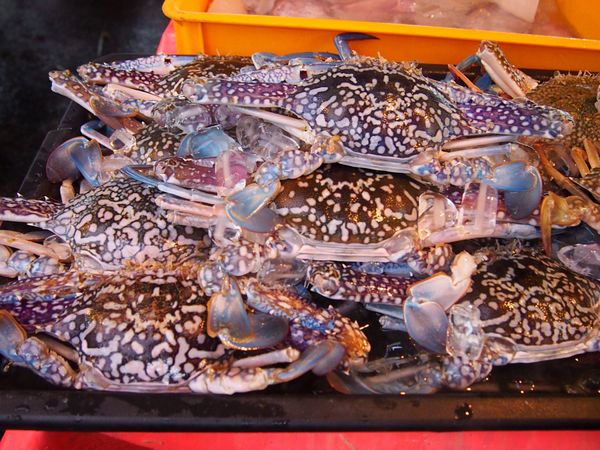 マレーシア・コタキナバル「マレーシア　年越しにコタキナバルの自然と海鮮を楽しむ旅」の写真：コタキナバルは海鮮が最高。
シャコなんか...