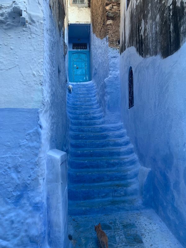 モロッコ・カサブランカ「モロッコ」の写真