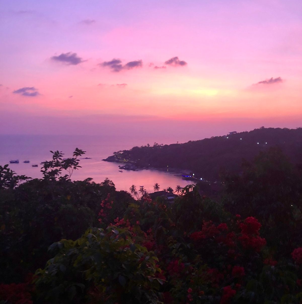 友達と2回目のKoh Tao島。好きすぎて一年後の同じ時期に来た。今回は雨...