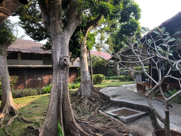 タイ・KohTao「Koh Tao」の写真：友達と2回目のKoh Tao島。好きすぎ...