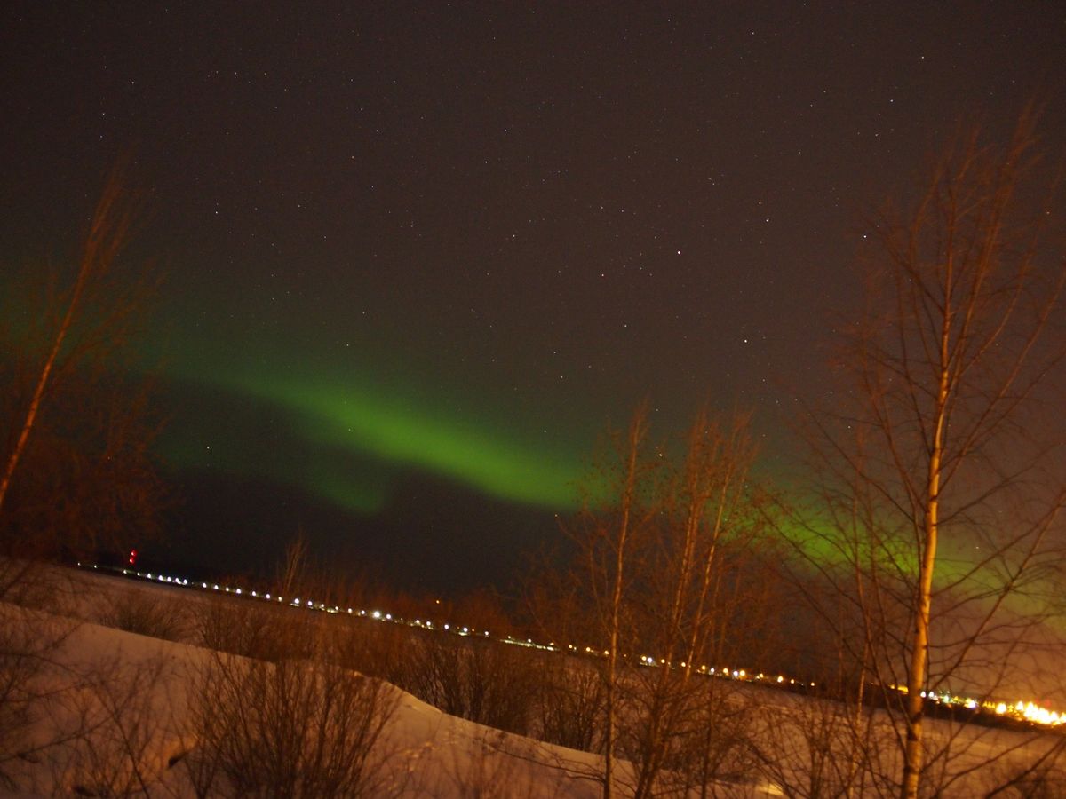 オーロラです！
ちゃんとカーテンみたいですよね！
ちなみに、中の中らしいで...