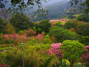 陽明山温泉
台北市内から車で20分の山あいにある温泉地。
台湾は温泉もいっ...