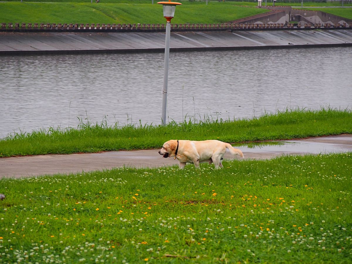台北 松山空港
台北市内にある松山空港は、空港から市内へのアクセスがとって...