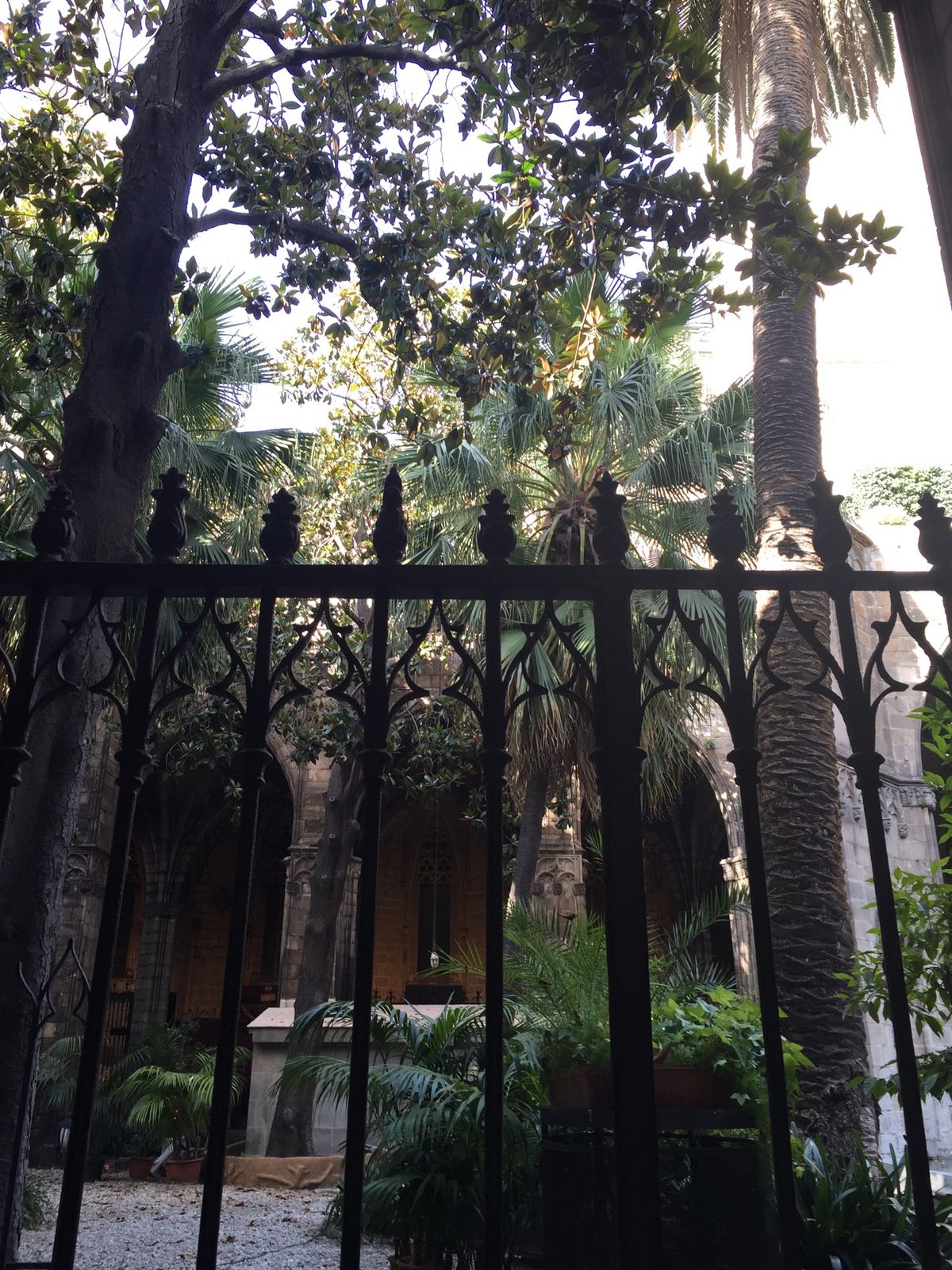 DAY3
ホテルで一休みした後ゴシック地区をぶらぶら。路地が楽しい。