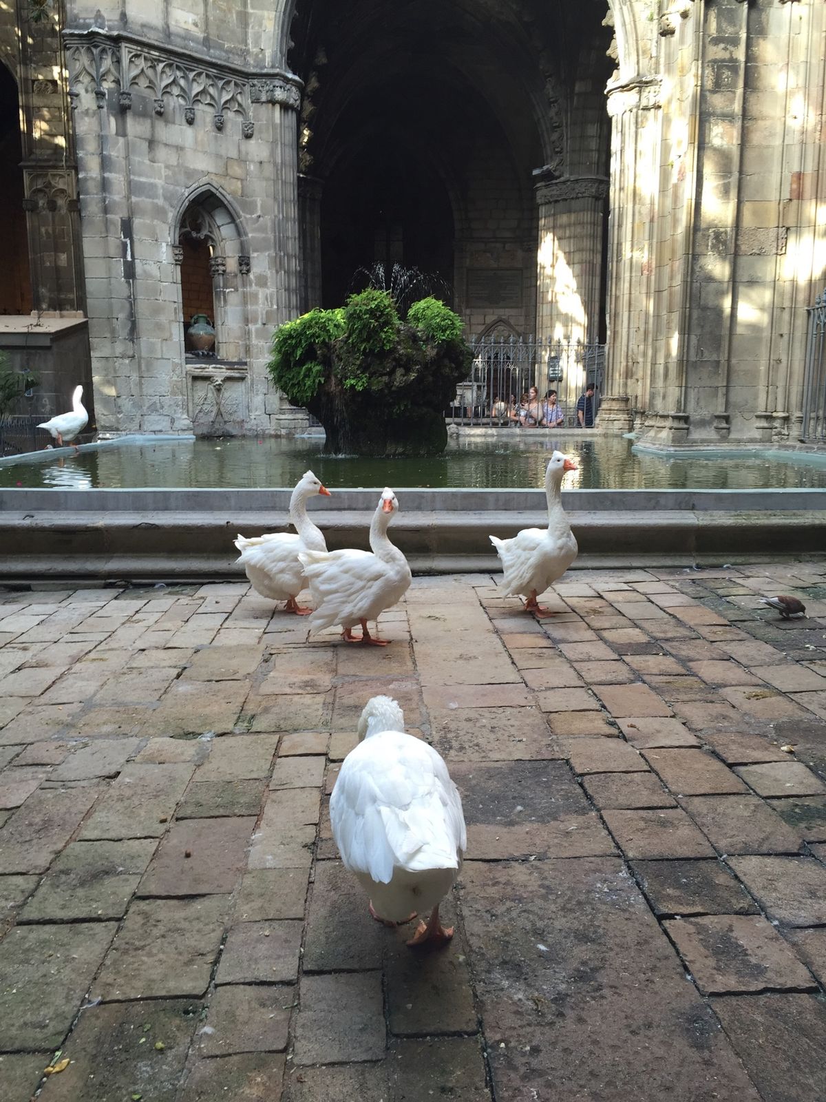 DAY3
ホテルで一休みした後ゴシック地区をぶらぶら。路地が楽しい。