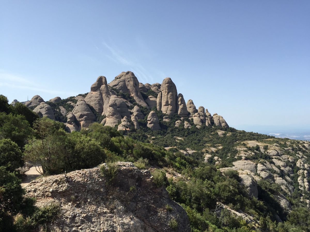 DAY2
登山電車にてモンセラットへ。とにかく圧巻の眺め。カテドラルの中の...