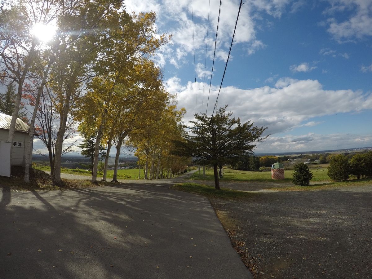 美瑛町にて
日産スカイラインのCMに使われたケンとメリーの木🌲
北海道では...