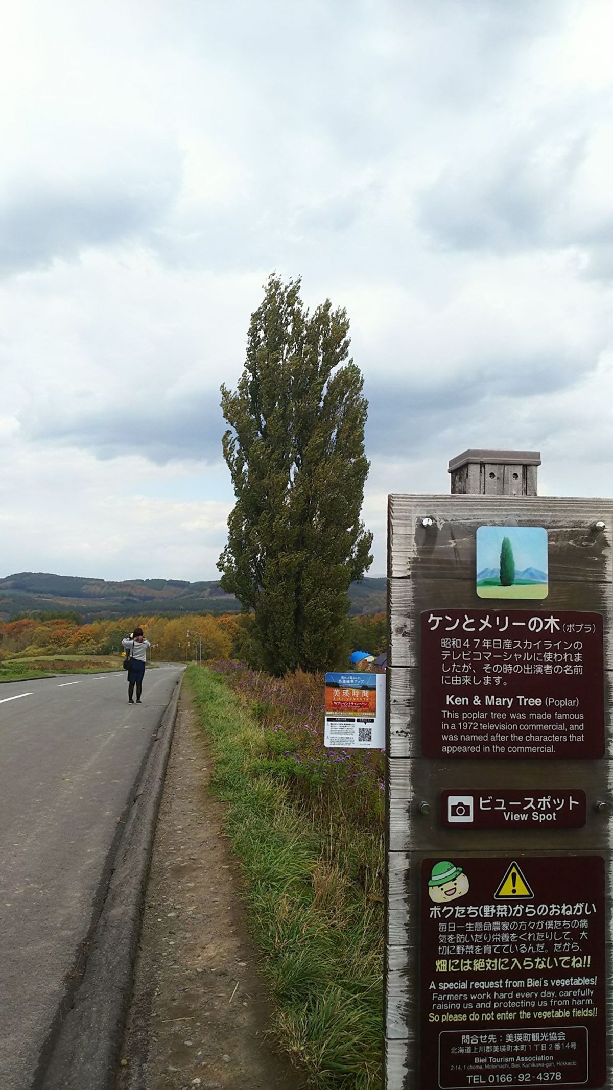 美瑛町にて
日産スカイラインのCMに使われたケンとメリーの木🌲
北海道では...