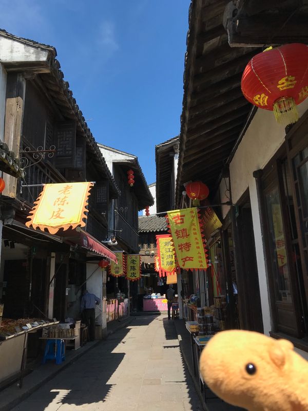 中国・上海「上海、蘇州、無錫の旅」の写真