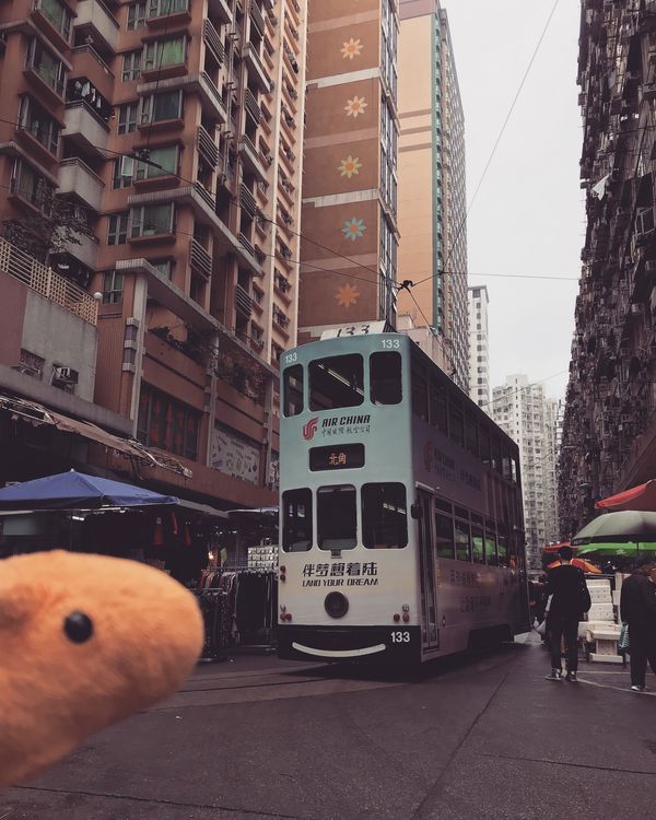 香港・香港「香港の旅」の写真