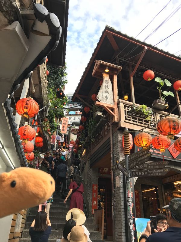 台湾・台北「台湾の旅1」の写真