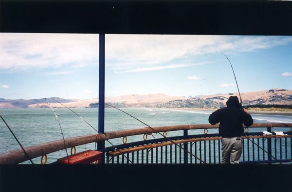 ニュージーランド・Auckland「New Zealand (語学留学)」の写真