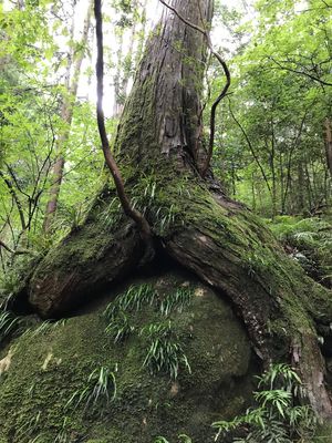 馬越峠