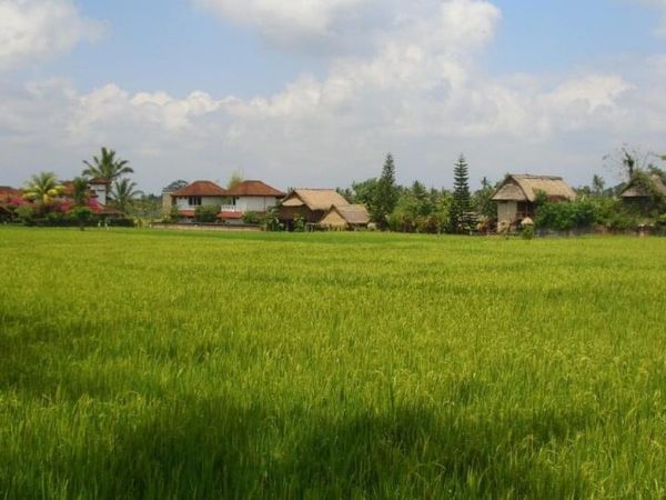 インドネシア・Bali「Bali ⑦」の写真