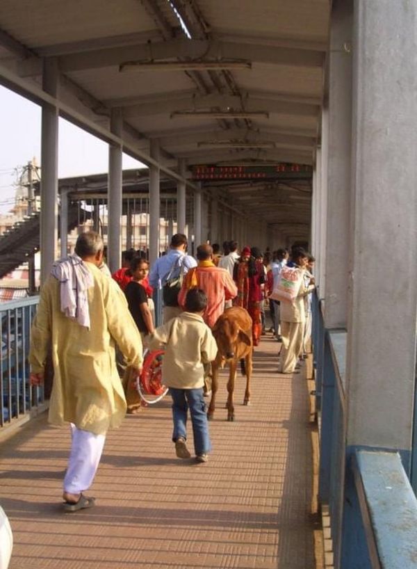 インド・バラナシ「India」の写真