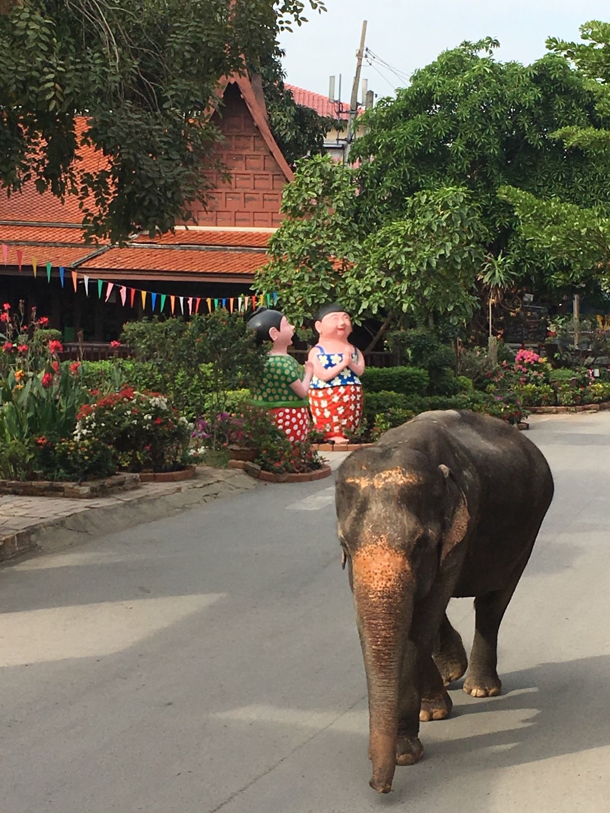 どうしても行きたかった場所へ🎵