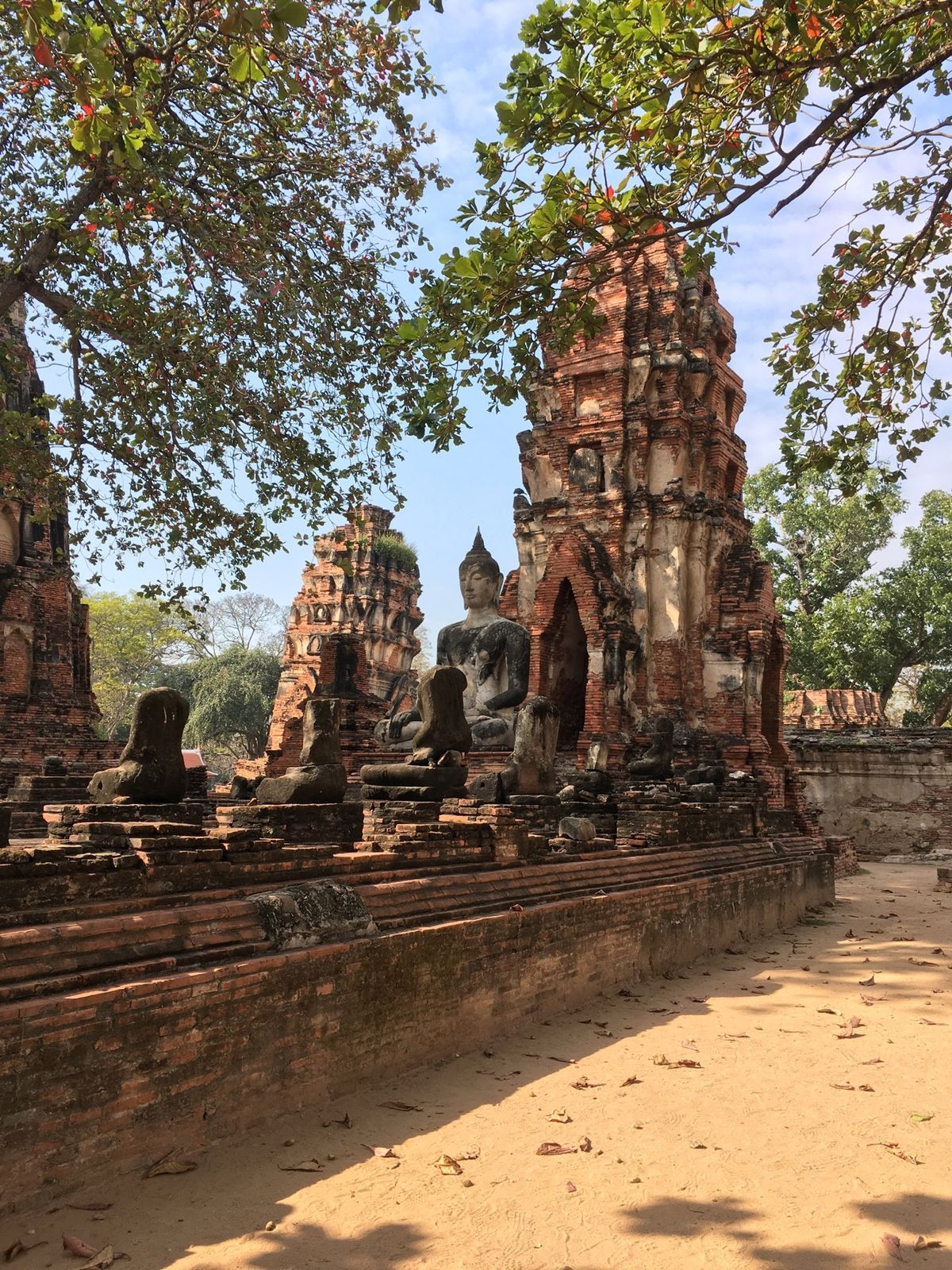 どうしても行きたかった場所へ🎵