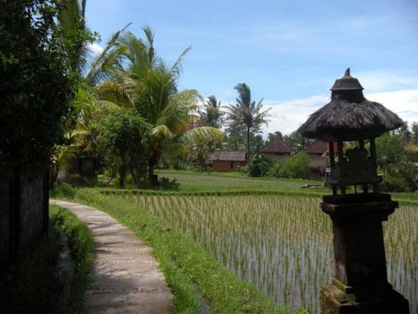 インドネシア・ジョグジャカルタ「Indonesia(Jawa→Bali→Gili meno→Gili Air) ⑪」の写真