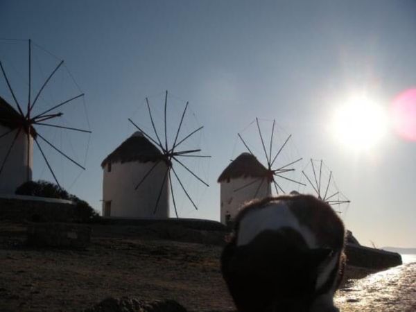 ギリシャ・アテネ「Turkey ②、Greece ② ＆ Netherlands(Amsterdam)」の写真